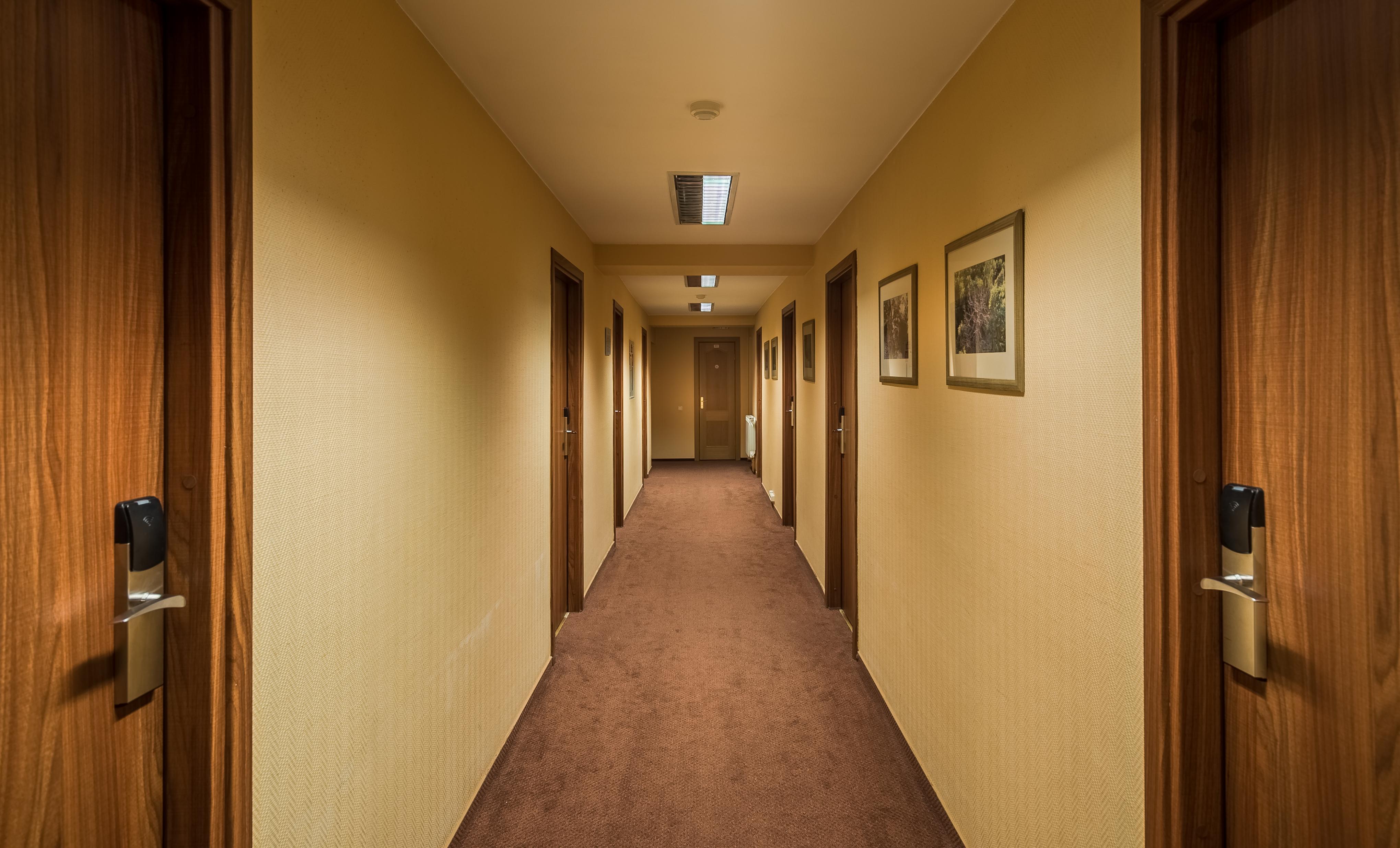Hotel Zemaites VNO